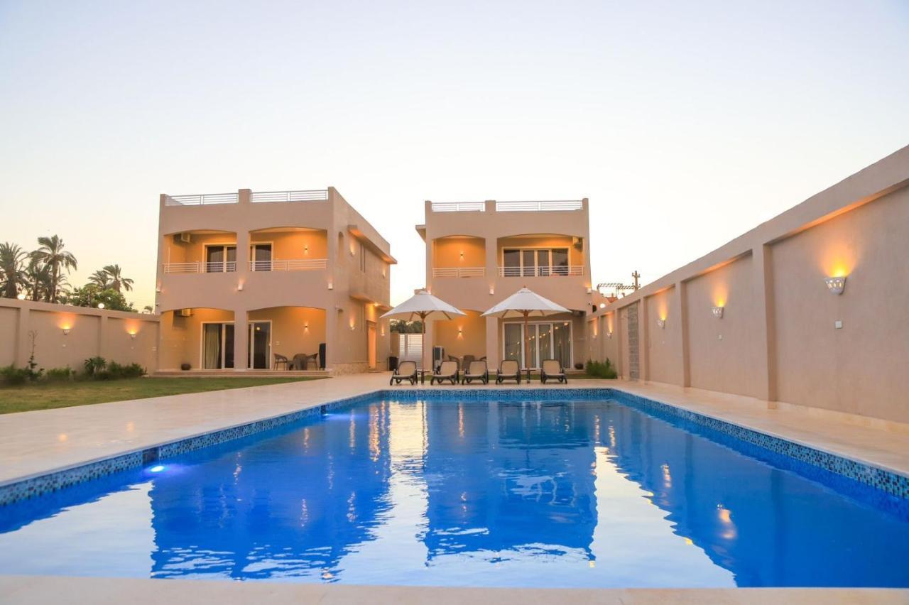 Royal Nile Villas - Pool View Apartment 2 Luxor Exteriör bild