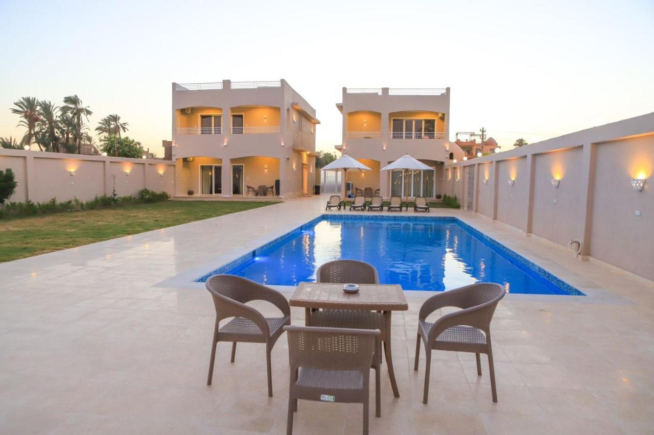 Royal Nile Villas - Pool View Apartment 2 Luxor Exteriör bild